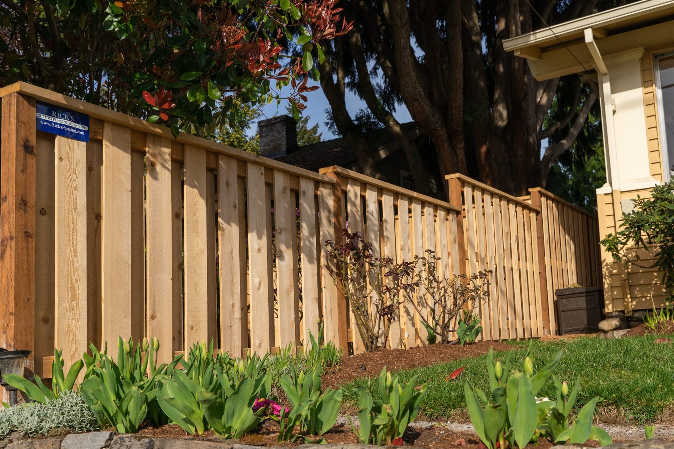Finished cedar privacy fence along a residential landscape